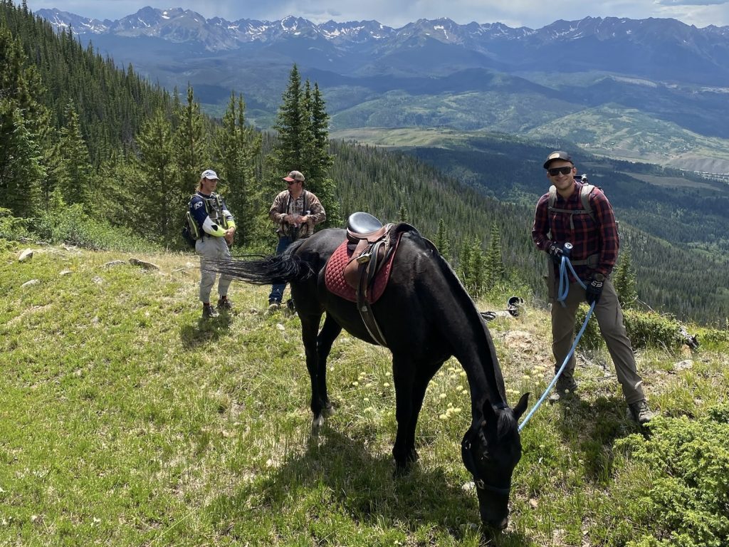 'Saved me from a lifetime of guilt': Neighbors help find horse lost in Colorado backcountry for 3 nights - Vimarsana News